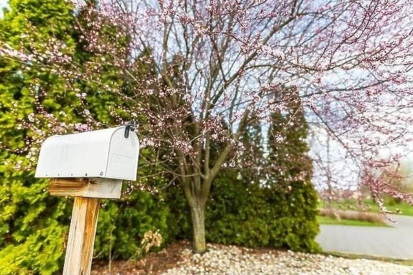 White mail box in front of a house next to driveway with spring trees and green evergreen trees