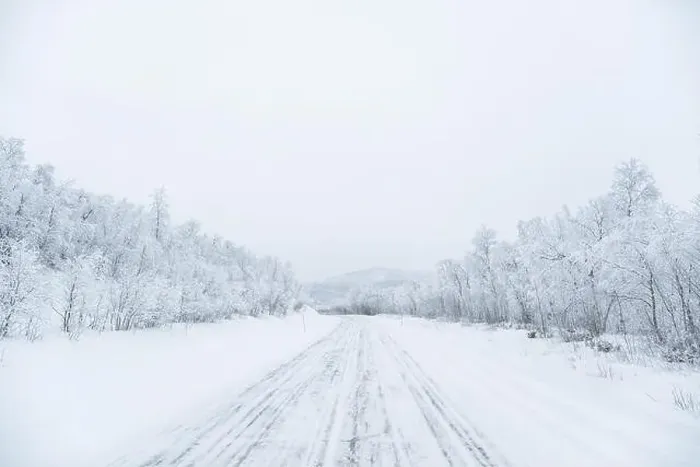 Framed Print : Very white panorama of trees covered in snow in Lapland Framed Print : Very white panorama of trees covered in snow in Lapland