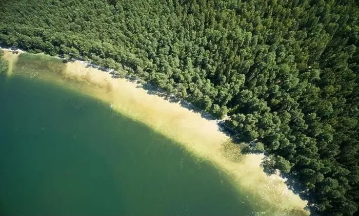 Framed Print : White sand beach on forest shore aerial drone view Framed Print : White sand beach on forest shore aerial drone view
