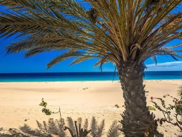 Framed Print : White sandy beach and blue water in Morro Jable, south of Fuerteventura, Canary islands, Spain Framed Print : White sandy beach and blue water in Morro Jable, south of Fuerteventura, Canary islands, Spain