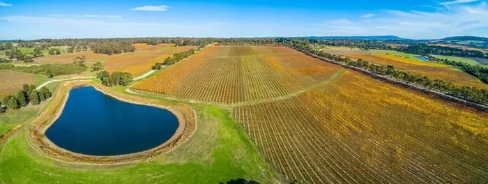 Framed Print : Wide aerial panoramic landscape of vineyard. Tuerong, Victoria, Australia Framed Print : Wide aerial panoramic landscape of vineyard. Tuerong, Victoria, Australia