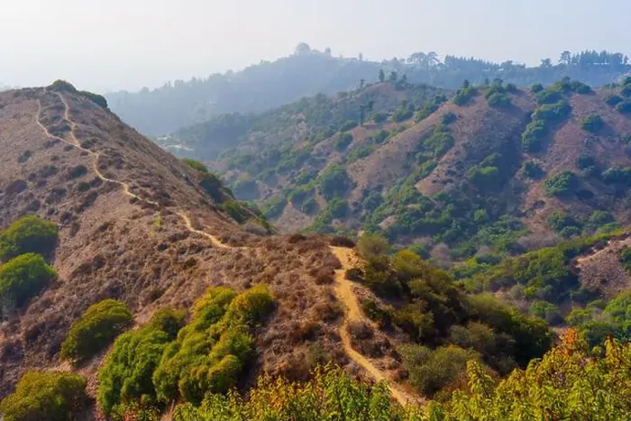 Framed Print : Wide view of hilly landscape featuring trails winding through Griffith Park, surrounded by diverse green vegetation Framed Print : Wide view of hilly landscape featuring trails winding through Griffith Park, surrounded by diverse green vegetation