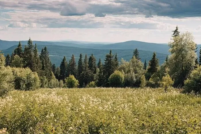Framed Print : Wild national Park in the middle of Russia Framed Print : Wild national Park in the middle of Russia
