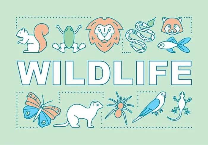 Framed Print : Wildlife word concepts banner. Travel experience Framed Print : Wildlife word concepts banner. Travel experience