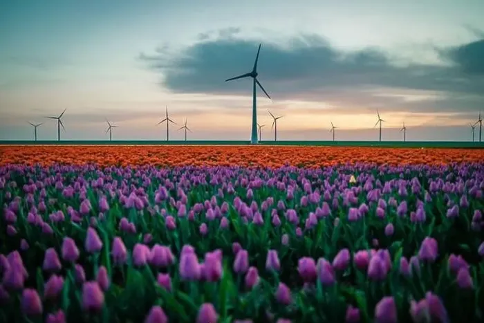 Framed Print : Wind turbine from aerial view