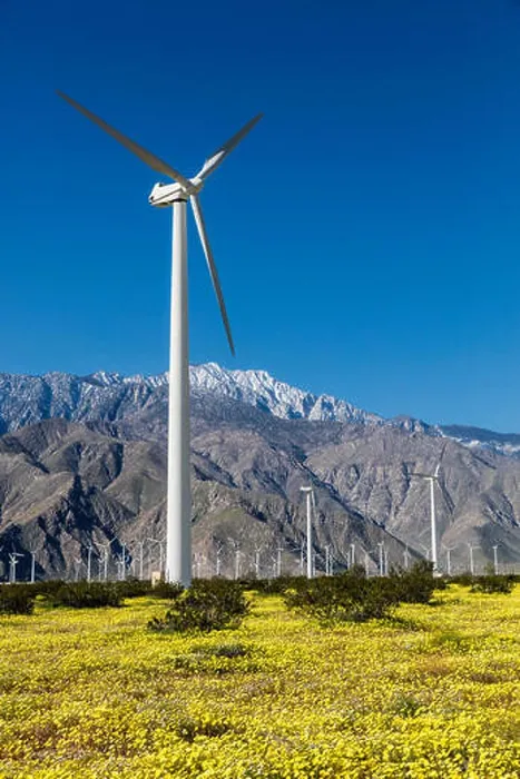 Framed Print : WIND TURBINES in Yucca Valley backdropped by the San Bernadino Mountains with California Dandelions Framed Print : WIND TURBINES in Yucca Valley backdropped by the San Bernadino Mountains with California Dandelions