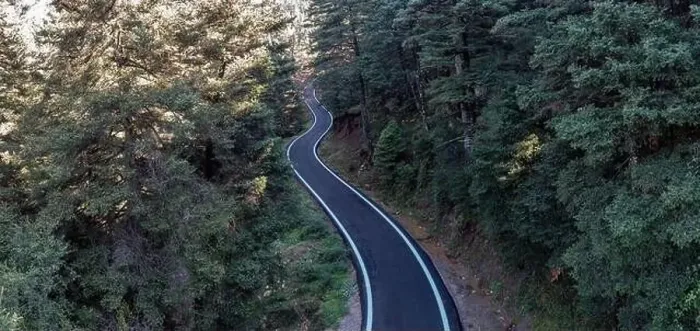 Framed Print : Winding asphalt road crossing fir forest Framed Print : Winding asphalt road crossing fir forest