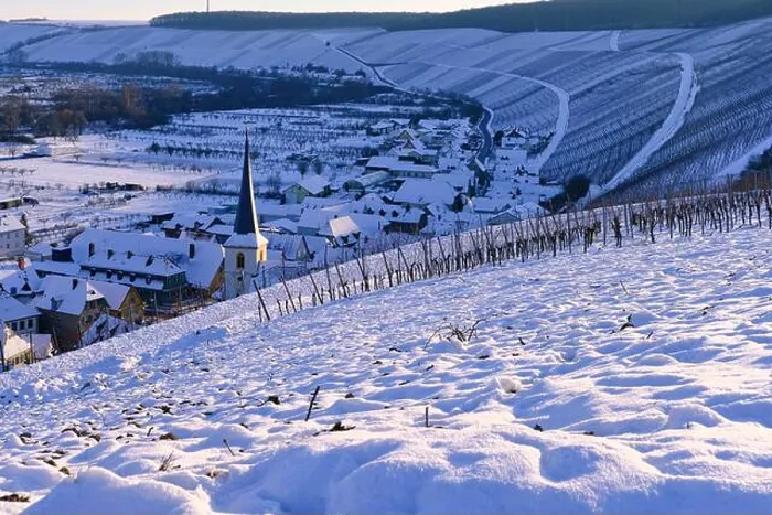 Framed Print : Wine village Escherndorf amid the vineyards on the Volkacher Mainschleife in winter, Unterfanken, Bavaria, Germany Framed Print : Wine village Escherndorf amid the vineyards on the Volkacher Mainschleife in winter, Unterfanken, Bavaria, Germany