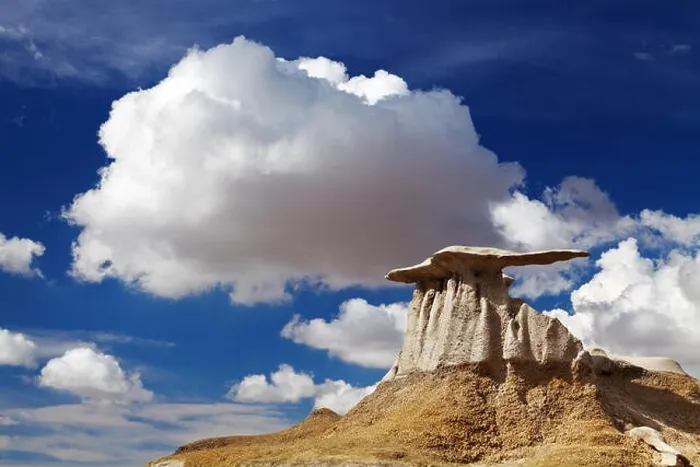 Framed Print : The Wings, bizarre rock formations in Bisti Badlands, New Mexico, USA Framed Print : The Wings, bizarre rock formations in Bisti Badlands, New Mexico, USA