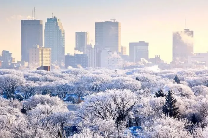 Framed Print : Winnipeg skyline and hoar frost covered trees, on a winter day. Winnipeg, Manitoba, Canada Framed Print : Winnipeg skyline and hoar frost covered trees, on a winter day. Winnipeg, Manitoba, Canada