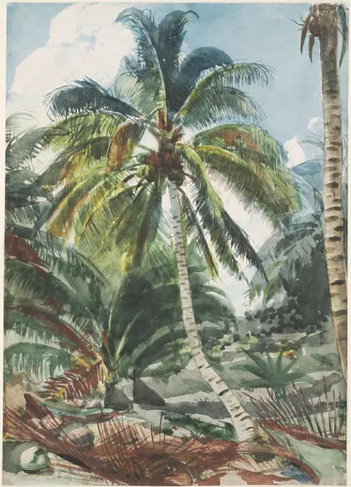 Framed Print : Winslow Homer - Palm Trees, Bahamas (1890s) Framed Print : Winslow Homer - Palm Trees, Bahamas (1890s)