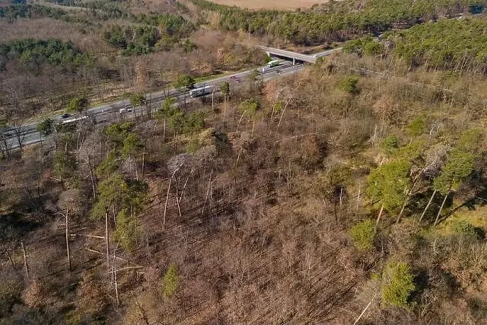 Framed Print : Winter drought and forest dieback in a forest next to a Autobahn seen from the air, Germany