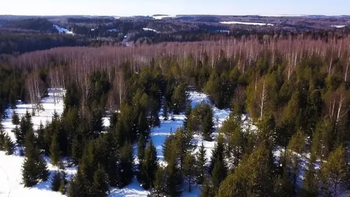 Framed Print : Winter forest from a bird's-eye view Framed Print : Winter forest from a bird's-eye view