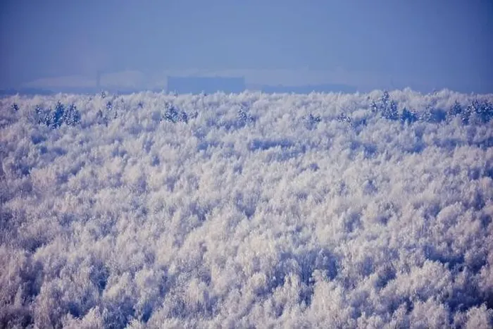 Framed Print : Winter forest with white trees in the snow, copy space for text. Top view of the snowy park, background Framed Print : Winter forest with white trees in the snow, copy space for text. Top view of the snowy park, background