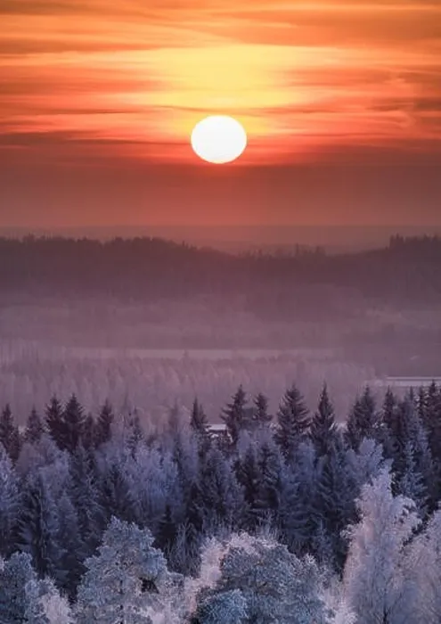 Framed Print : Winter landscape with frosty trees and beautiful sunset at evening time in Finland