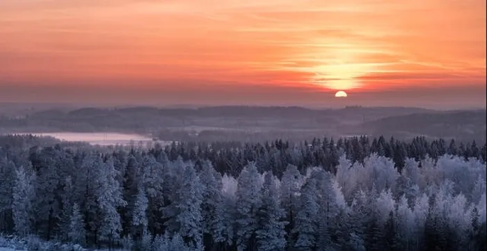 Framed Print : Winter landscape with frosty trees and beautiful sunset at evening time in Finland