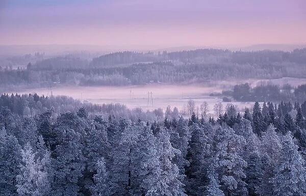 Winter landscape with frosty trees and foggy mood at evening light in Finland