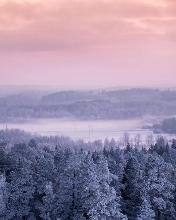 Framed Print : Winter landscape with frosty trees and foggy mood at evening light in Finland Framed Print : Winter landscape with frosty trees and foggy mood at evening light in Finland