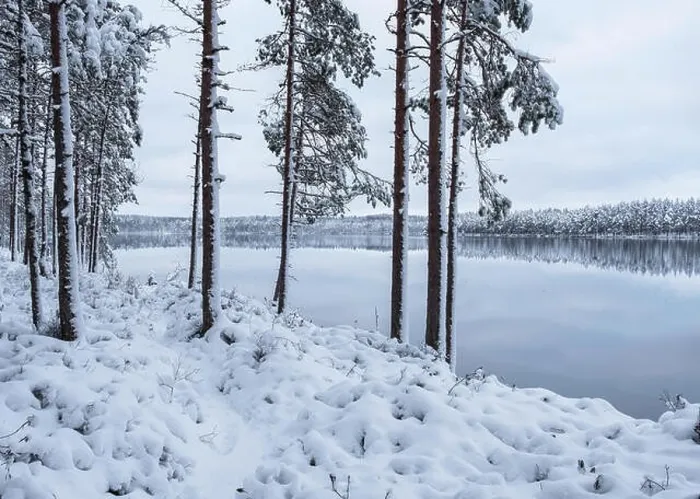 Framed Print : Winter landscape with frosty trees and peaceful lake at evening in Finland Framed Print : Winter landscape with frosty trees and peaceful lake at evening in Finland