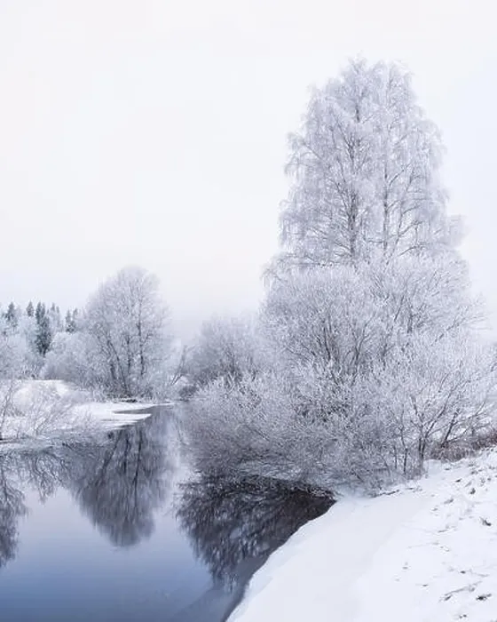 Framed Print : Winter landscape with frosty trees and peaceful river at evening in Finland Framed Print : Winter landscape with frosty trees and peaceful river at evening in Finland