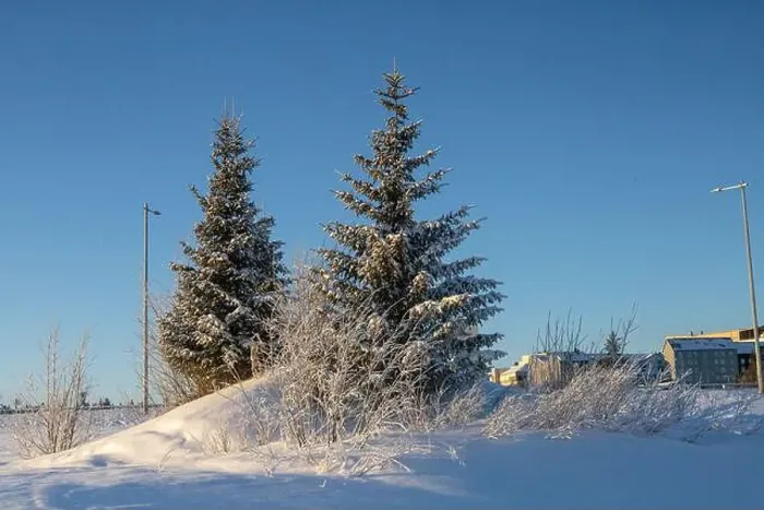 Framed Print : Winter landscape in Kiruna, Lapland, northern Sweden. Photographed in January