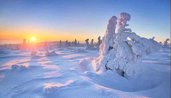 Winter landscape with sunset in a background, Karkonosze Mountains, Poland