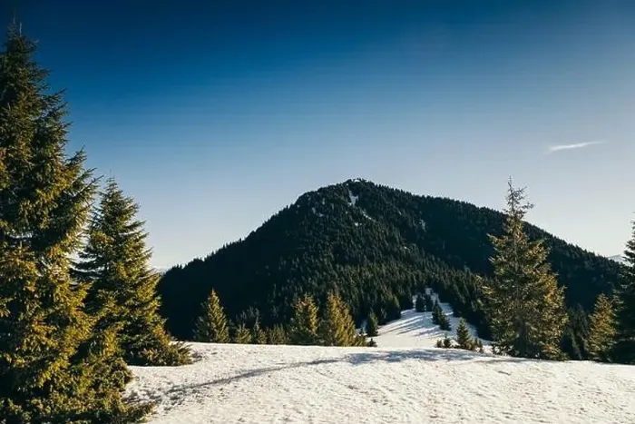 Framed Print : Winter mountains, snow coniferous forest, blue sky, spring Framed Print : Winter mountains, snow coniferous forest, blue sky, spring
