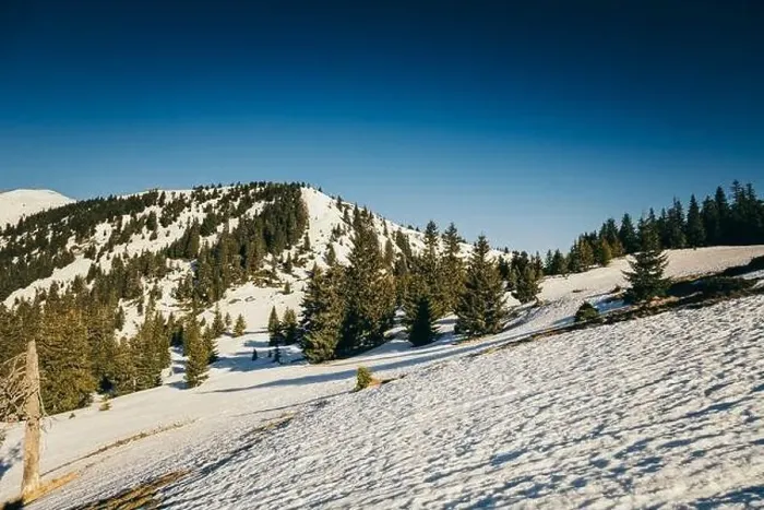 Framed Print : Winter mountains in the snow, coniferous forest, spring, snowy meadow Framed Print : Winter mountains in the snow, coniferous forest, spring, snowy meadow
