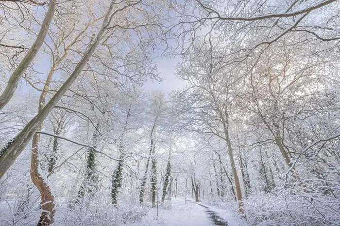 Framed Print : winter nature landscape at sunrise. Beautiful Christmas nature background, frozen snowy forest trail, amazing idyllic nature landscape. Tranquil path Framed Print : winter nature landscape at sunrise. Beautiful Christmas nature background, frozen snowy forest trail, amazing idyllic nature landscape. Tranquil path