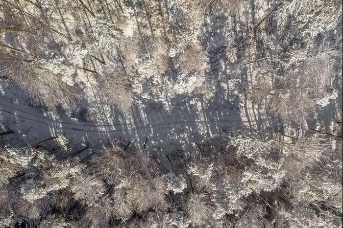 Framed Print : Winter path leading through a white, snowy forest captured by a drone straight from above - top down view Framed Print : Winter path leading through a white, snowy forest captured by a drone straight from above - top down view