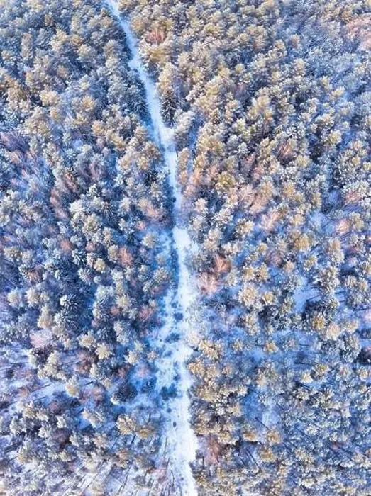 Framed Print : Winter snow covered forest trail view from above. Winding road through snowy cold wood. Cold winter day Framed Print : Winter snow covered forest trail view from above. Winding road through snowy cold wood. Cold winter day