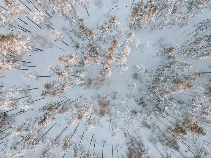 Framed Print : Winter Snow Landscape in Sweden by Drone Framed Print : Winter Snow Landscape in Sweden by Drone