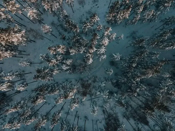 Framed Print : Winter Snow Landscape in Sweden by Drone Framed Print : Winter Snow Landscape in Sweden by Drone
