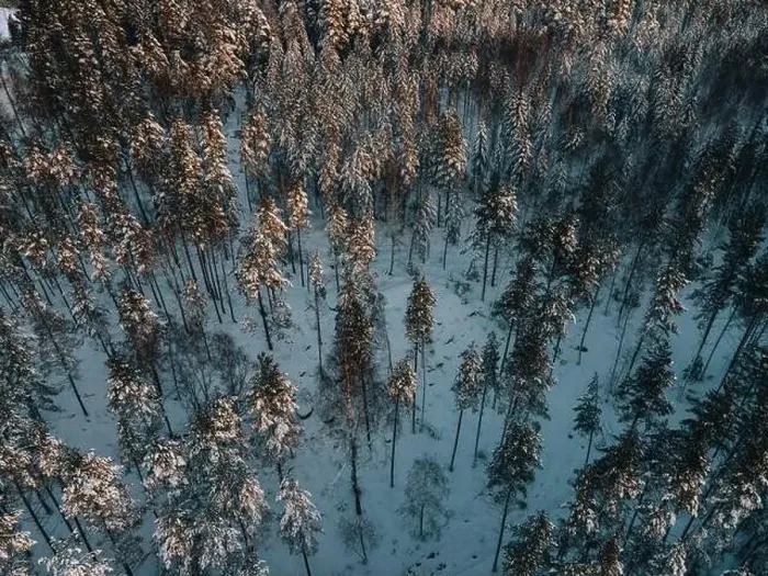 Framed Print : Winter Snow Landscape in Sweden by Drone Framed Print : Winter Snow Landscape in Sweden by Drone