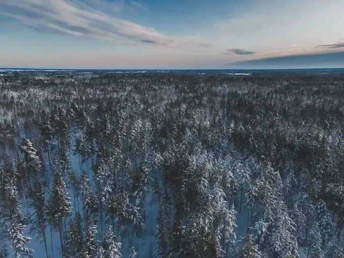 Framed Print : Winter Snow Landscape in Sweden by Drone Framed Print : Winter Snow Landscape in Sweden by Drone