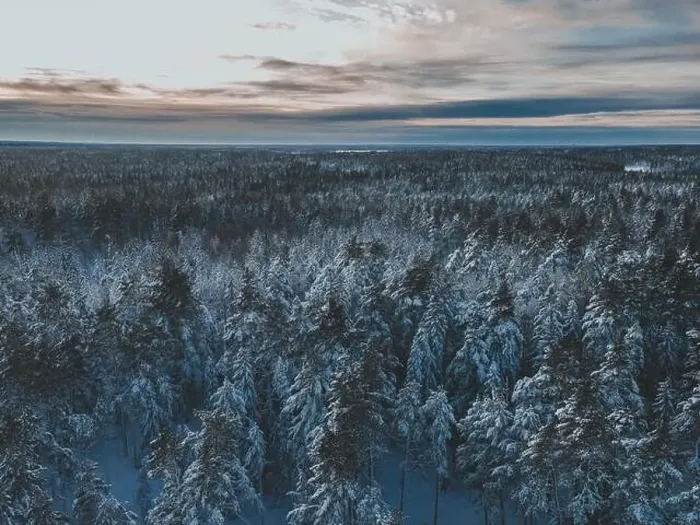Framed Print : Winter Snow Landscape in Sweden by Drone Framed Print : Winter Snow Landscape in Sweden by Drone