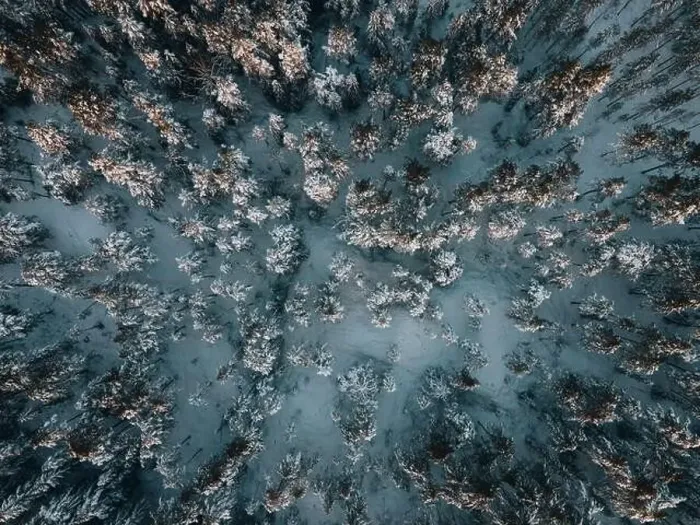 Framed Print : Winter Snow Landscape in Sweden by Drone Framed Print : Winter Snow Landscape in Sweden by Drone