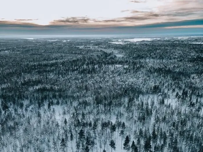 Framed Print : Winter Snow Landscape in Sweden by Drone Framed Print : Winter Snow Landscape in Sweden by Drone