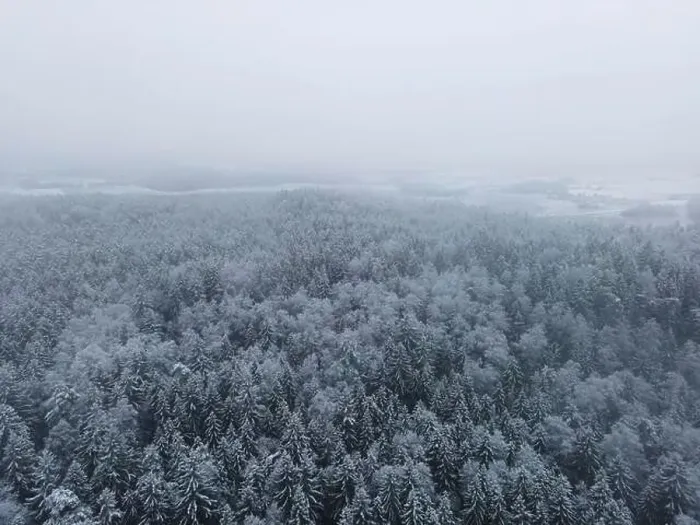 Framed Print : Winter wonderland forest aerial view Framed Print : Winter wonderland forest aerial view