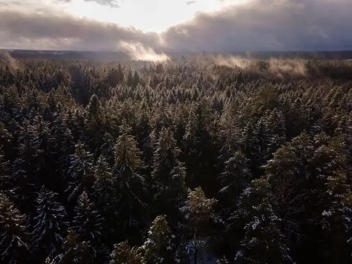 Framed Print : Winter wonderland morning mist fog over the forest aerial view Framed Print : Winter wonderland morning mist fog over the forest aerial view