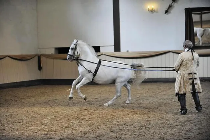 Framed Print : Wolfgang Krischke mit Lipizzaner Maestoso Amata Framed Print : Wolfgang Krischke mit Lipizzaner Maestoso Amata