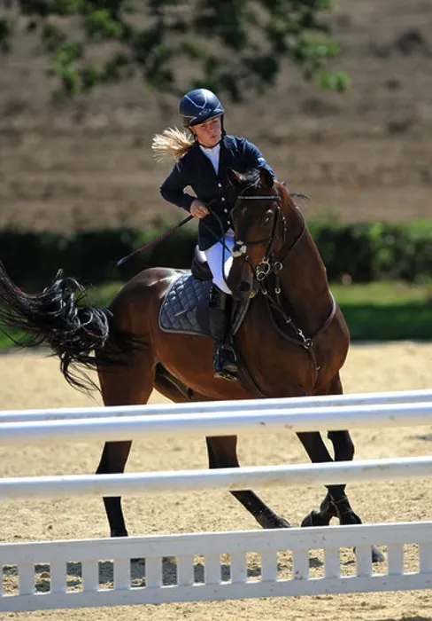 Framed Print : A Woman attempts to control her horse as it refuses to jump a fence during a show jumping competition Framed Print : A Woman attempts to control her horse as it refuses to jump a fence during a show jumping competition