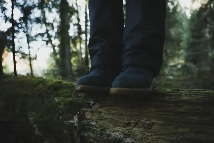 Framed Print : Woman in boots standing on log in forest Framed Print : Woman in boots standing on log in forest