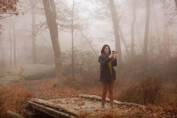 Framed Print : Woman photographing through smart phone while standing on footbridge in forest