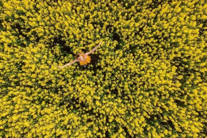 Framed Print : Woman in yellow dress at blooming rapeseed field. Bright yellow flowers and happy woman Framed Print : Woman in yellow dress at blooming rapeseed field. Bright yellow flowers and happy woman