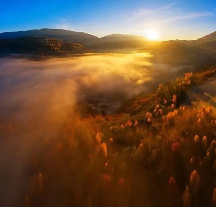 Framed Print : Wonderful autumn landscape in the mountains at dawn. Drone view of the autumn forest and low clouds Framed Print : Wonderful autumn landscape in the mountains at dawn. Drone view of the autumn forest and low clouds