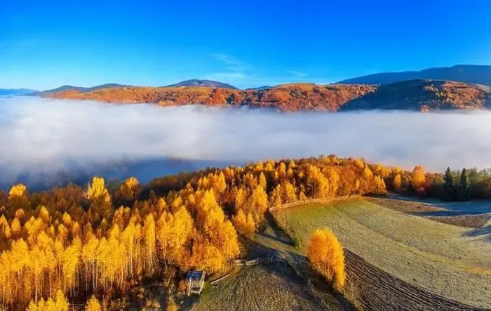 Framed Print : Wonderful autumn landscape in the mountains at dawn. Drone view of the autumn forest and low clouds Framed Print : Wonderful autumn landscape in the mountains at dawn. Drone view of the autumn forest and low clouds