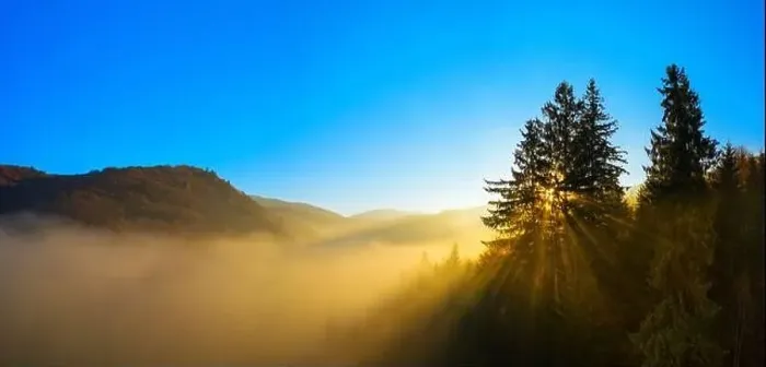 Framed Print : Wonderful autumn landscape in the mountains at dawn. Drone view of the autumn forest and low clouds Framed Print : Wonderful autumn landscape in the mountains at dawn. Drone view of the autumn forest and low clouds