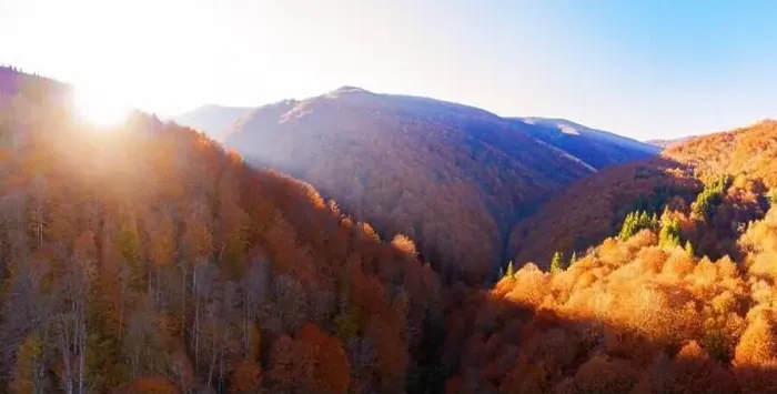 Framed Print : Wonderful autumn landscape in the mountains at dawn. Drone view of the autumn forest and low clouds Framed Print : Wonderful autumn landscape in the mountains at dawn. Drone view of the autumn forest and low clouds