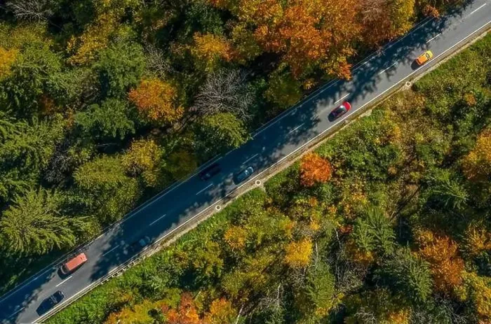 Framed Print : Wonderful colors of the autumn forest crossed by a diagonal asphalt road with driving cars Framed Print : Wonderful colors of the autumn forest crossed by a diagonal asphalt road with driving cars
